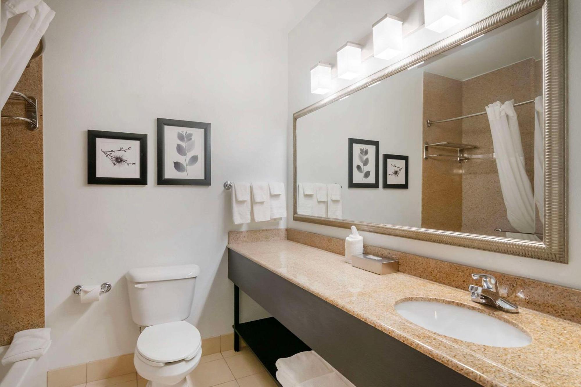 Country Inn & Suites By Radisson, Columbia, Mo Bagian luar foto